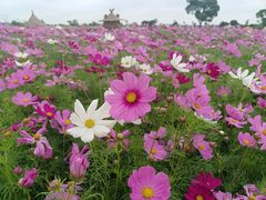 -嘉北郊野公园