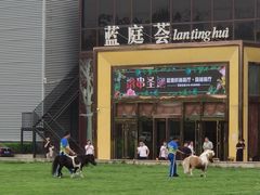 -蓝地时尚庄园(北京清河营地铁站店)