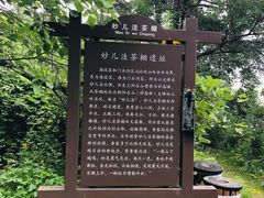 -阳台山自然风景区