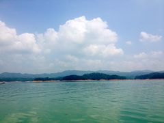 -广州市流溪河国家森林公园