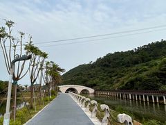 -西涌国际滨海旅游区