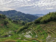 -紫鹊界梯田景区