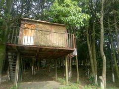 -象山森林公园