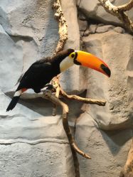 -Zoolung Zoolung动物主题公园(海信广场店)