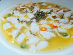 -青花椒花椒鱼(合生汇店)