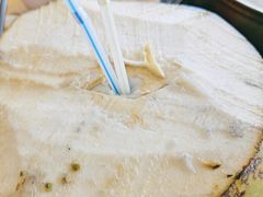 -15年老字号鑫鑫猪肚鸡·椰子鸡海南火锅(兴隆华侨农场店)