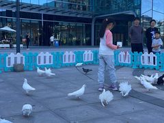 -大族广场Mall&More