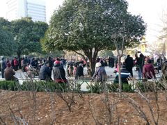 -洛阳市牡丹公园