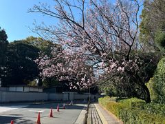 -东京国立博物馆