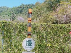 -红山村