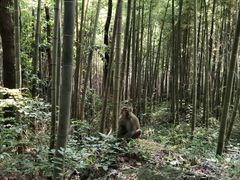 -句容茅山景区