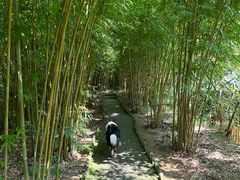 -武汉姚家山旅游景区