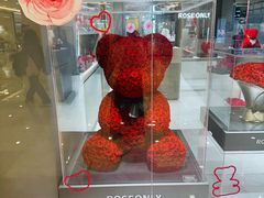 -ROSEONLY诺誓(国际广场购物中心店)