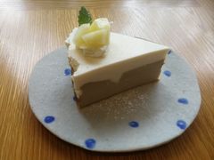 椰椰咖啡巴斯克-三花屋 Mihhanaya