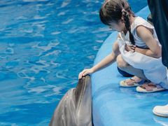 -福州罗源湾海洋世界旅游区