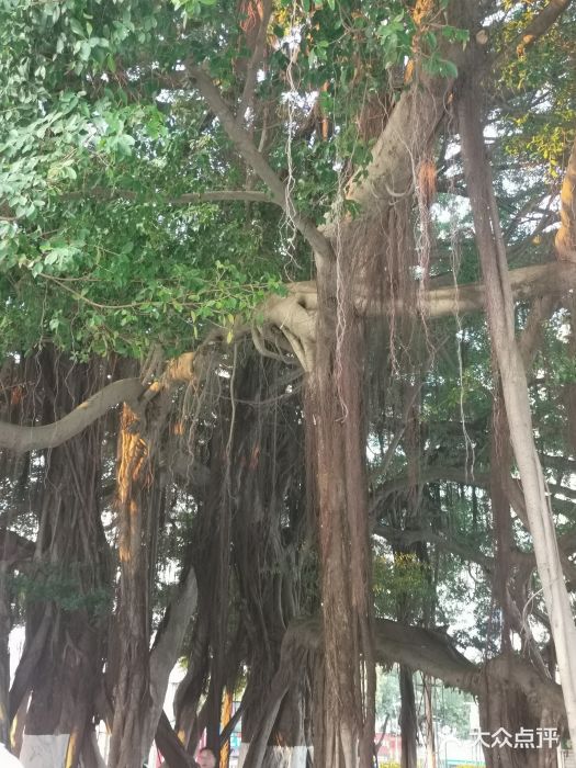 北部湾广场图片