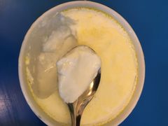 -德禄酸奶(莫家街店)