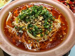 -向川南·水煮鱼·川菜(和平里店)