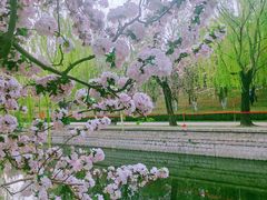 -海棠花溪(元大都城垣遗址公园)