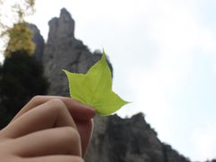 -雁荡山雁湖景区