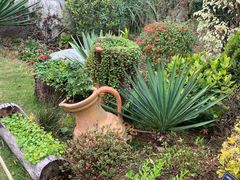-东莞植物园