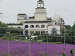 -紫颐香薰山谷景区