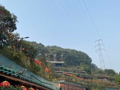 -枇杷园食为鲜火锅(南山店)