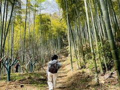 -莫干山风景区
