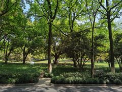 -杭州植物园