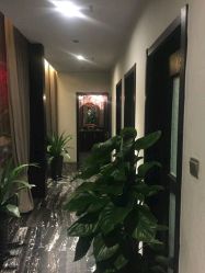-木北造型