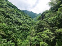 -山沟沟景区