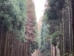 -山王坪喀斯特国家生态公园