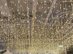 -京城·森鸽排档(双井店)