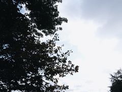 -路易斯安那现代艺术博物馆