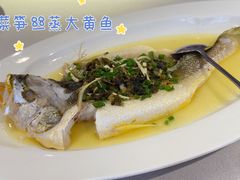 -圆苑(兴国路店)