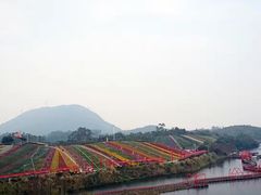 -东部华侨城