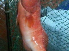 iphone_upload_pic-清水蘭軒