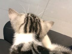 -联合动物医院(光谷诊疗中心)