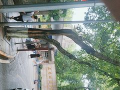 -西南政法大学(沙坪坝校区)