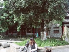 -龙潭水乡
