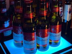 -Helens海伦司小酒馆(对外经贸大学店)