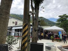 -瑞穗牧场