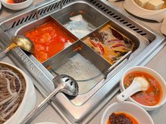 -海底捞火锅(赛格国际购物中心店)