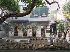 -小洲村
