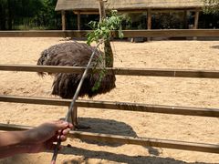 -秦皇岛野生动物园