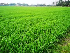 -中国天府农业博览园