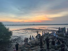 -宝安西湾红树林湿地公园