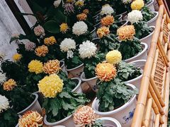 -无锡惠山寺