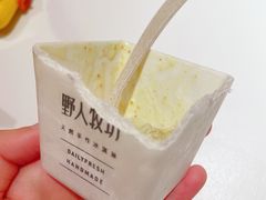 -野人牧坊Gelato(天津南开大悦城店)