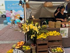 -枫叶小镇奥特莱斯